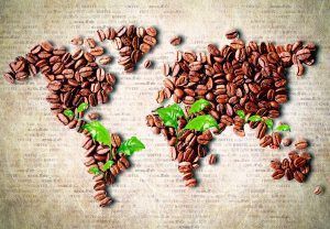 PAÍSES PRODUCTORES DE CAFÉ