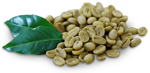 Cafe Verde Con Jengibre Sadiet