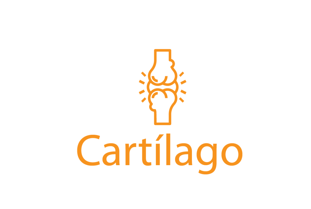 Sin título 5 03