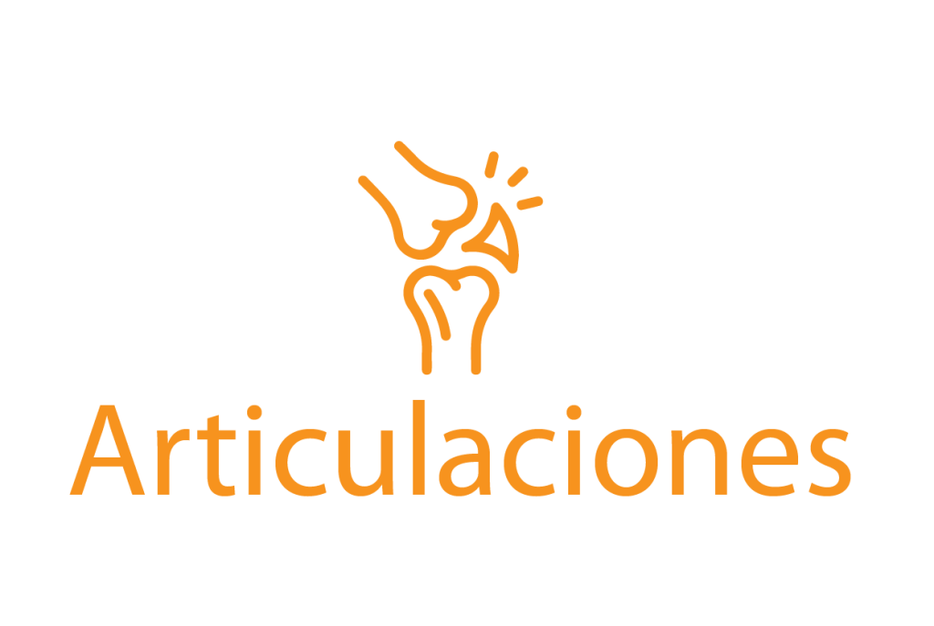 Sin título 5 06